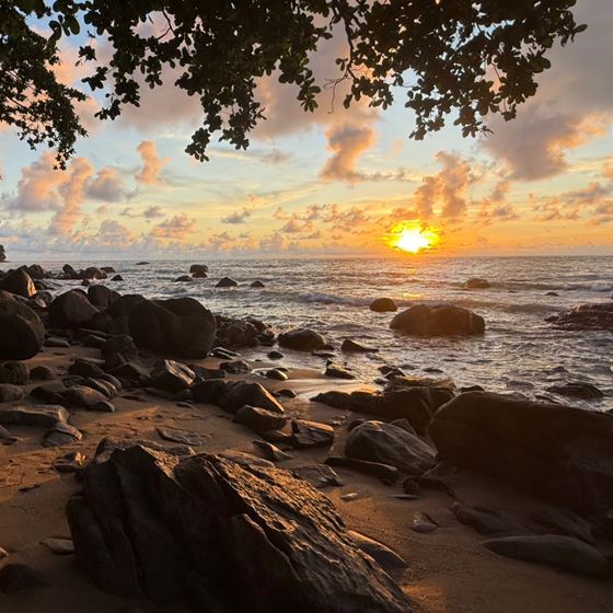 도착 - Baan Krating Khao Lak Resort